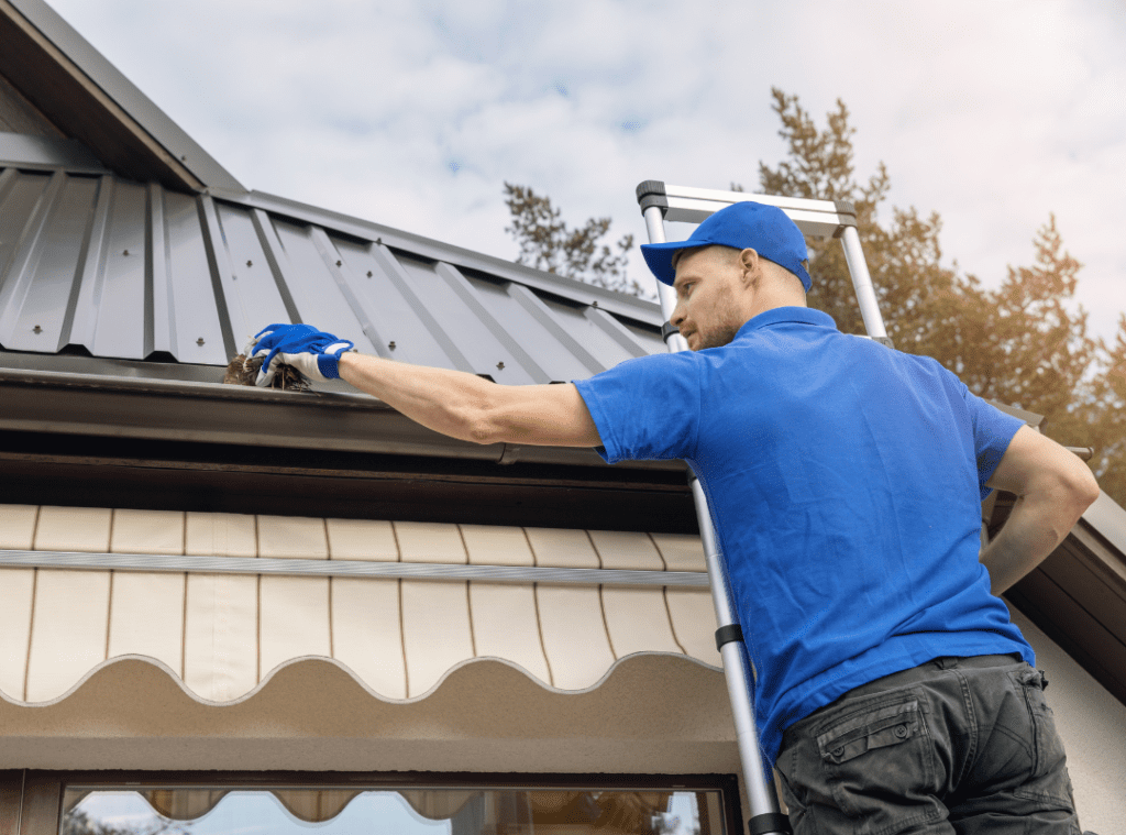 Roofing Services, Roofing Services in india